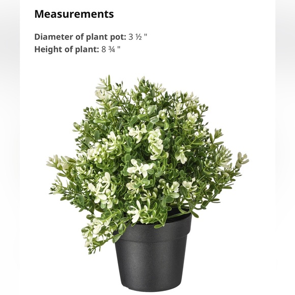 IKEA Set of 3 Faux Greenery - Picture 9 of 9